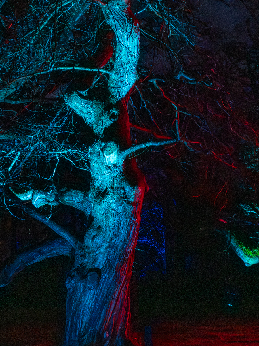 Photography by Chris Allington